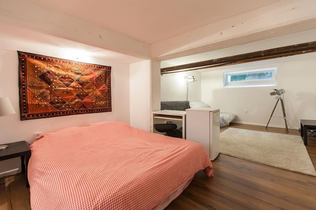 R-Appartements Strasbourg Cosy Orangerie Pour Vos Sejours En Famille Ou Entre Amis Kültér fotó