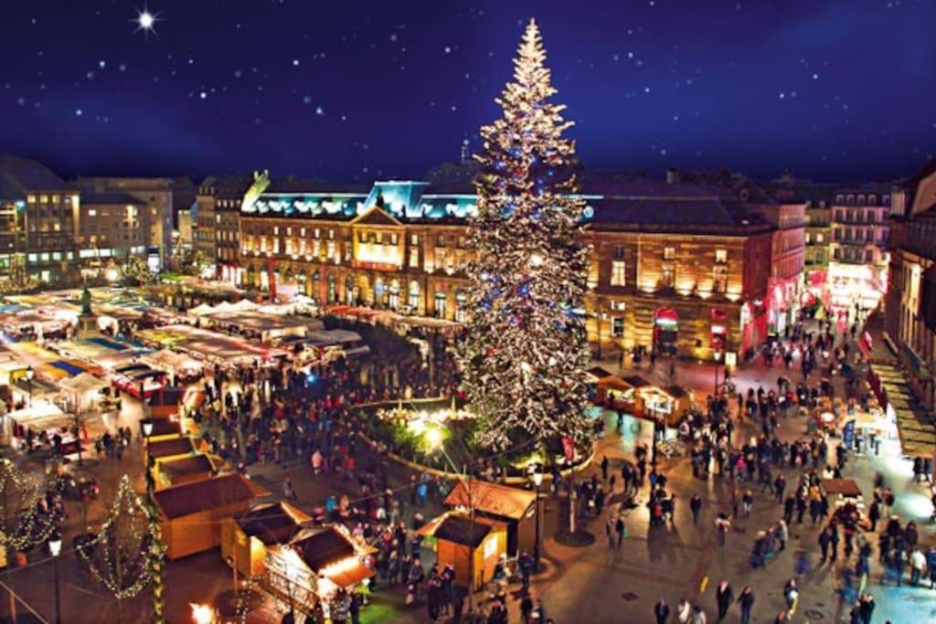 R-Appartements Strasbourg Cosy Orangerie Pour Vos Sejours En Famille Ou Entre Amis Kültér fotó